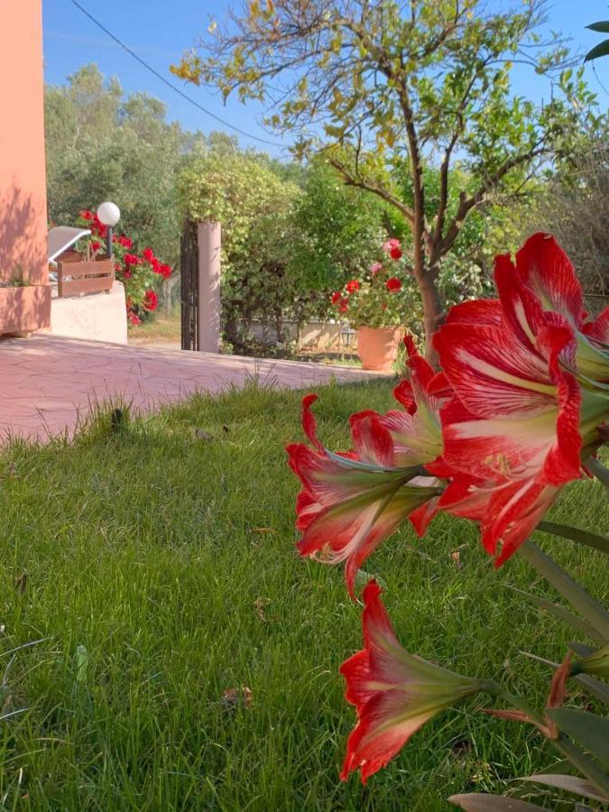 Ey House Villa Halikounas Exterior foto